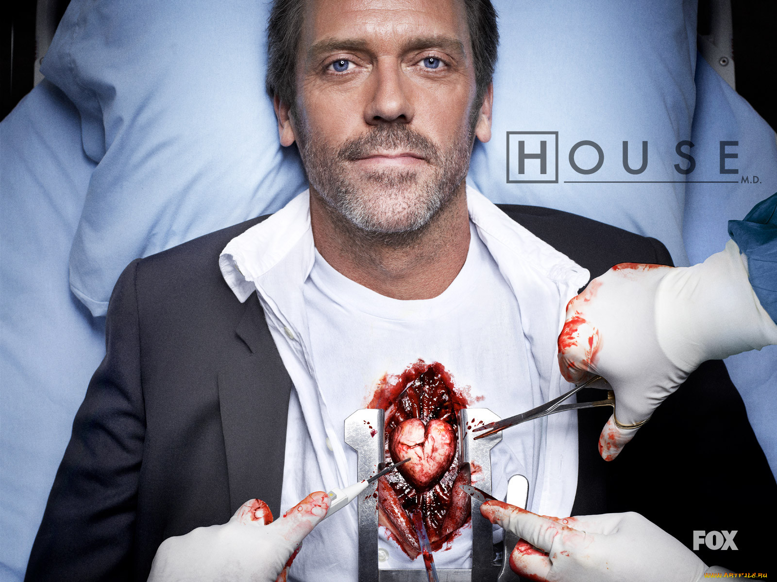 house, , 